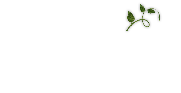 イタリアンコースで上質な宴