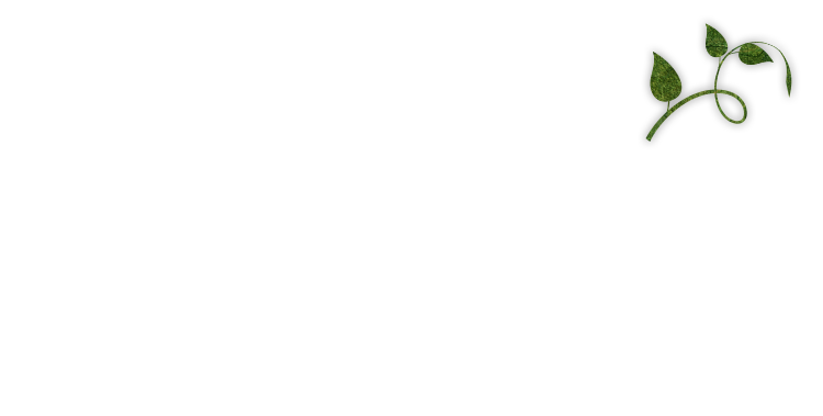 藤枝の女子会 貸切 宴会 食事会におすすめ 飲み放題付きコースあり